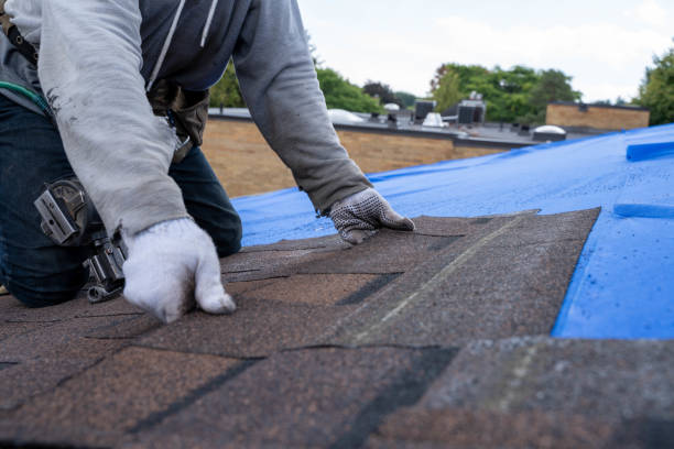 Best Storm Damage Roof Repair  in Clinton, IA